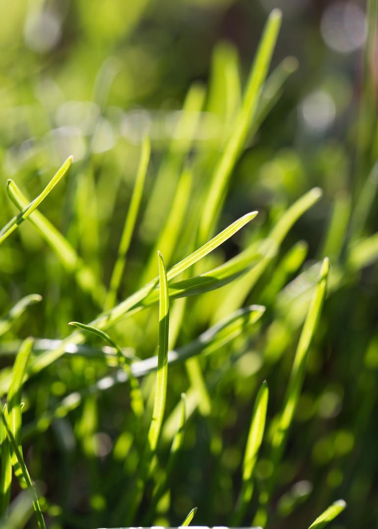 Hydrosol Ensemencement photo 2